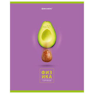 Тетрадь предметная Физика 'Avocado' 48 листов