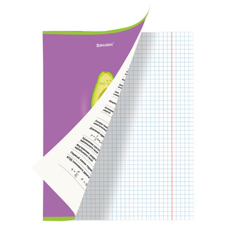 Тетрадь предметная Физика 'Avocado' 48 листов 2