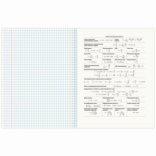 Тетрадь предметная Физика 'Avocado' 48 листов 5