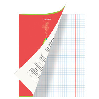 Тетрадь предметная Химия 'Avocado' 48 листов 2