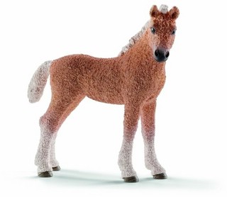 Schleich Фигурка Лошадь башкирская кудрявая жеребёнок 13781
