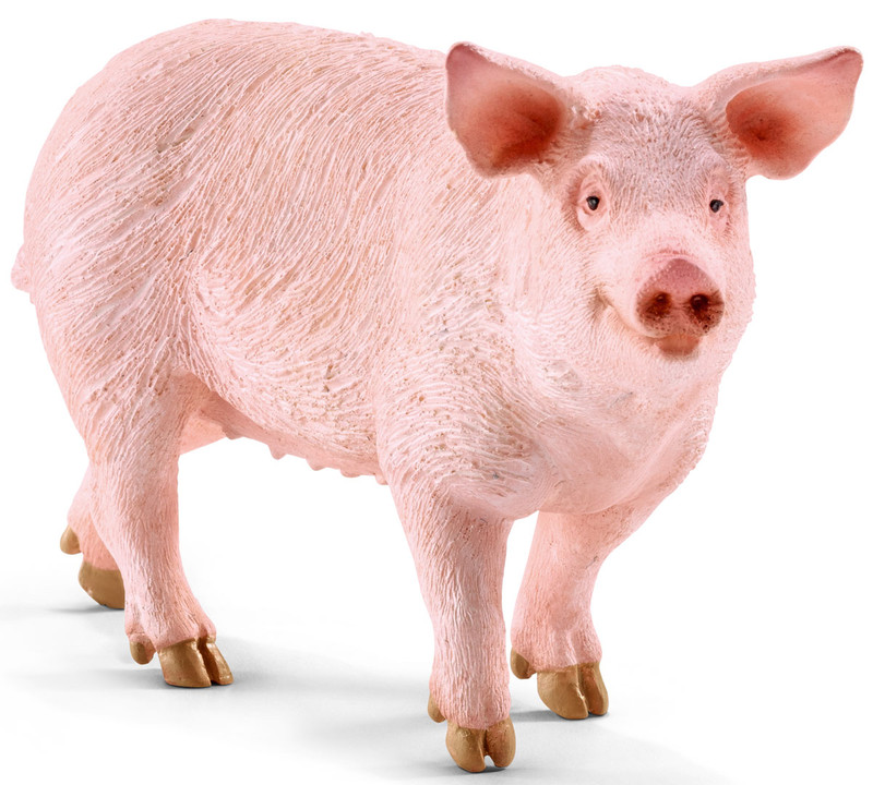 Schleich Фигурка Свинья 13782