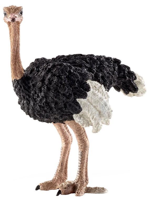 Schleich Фигурка Страус 14744