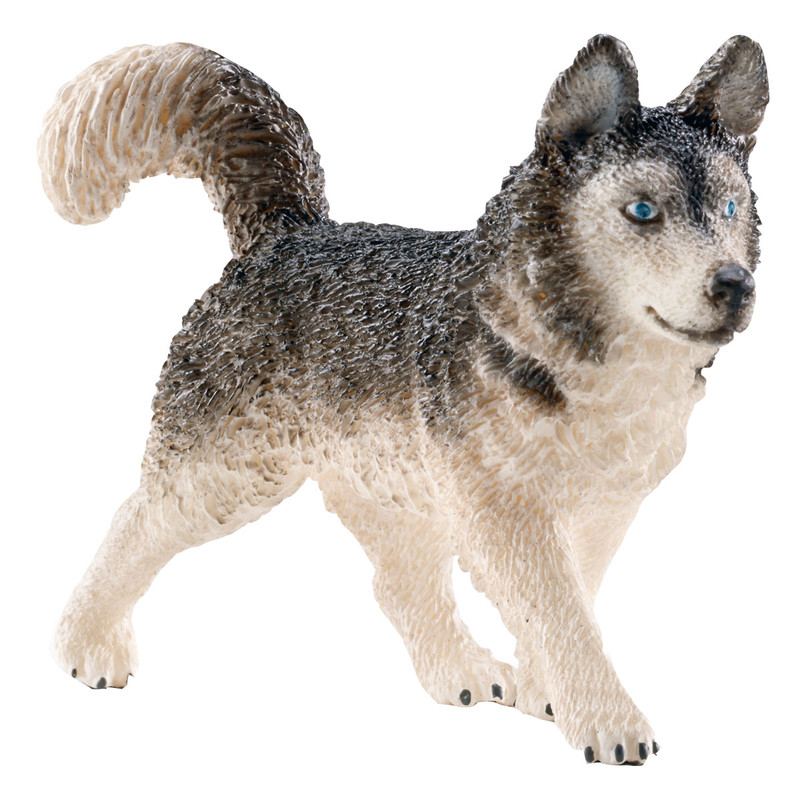 Schleich Фигурка Хаски 16835
