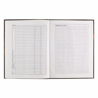 Дневник для музыкальной школы 'Avocado Style' А5, 40 листов 3