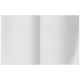 Дневник 1-11кл 48 листов, твердая обложка, белый, BG 2