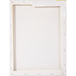 Холст на подрамнике 20х30 см, 280г/м2, среднее зерно, хлопок, Alingar 2