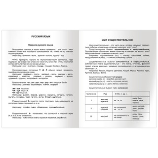 Дневник 1-4 кл. 48 л (твердый) BG 