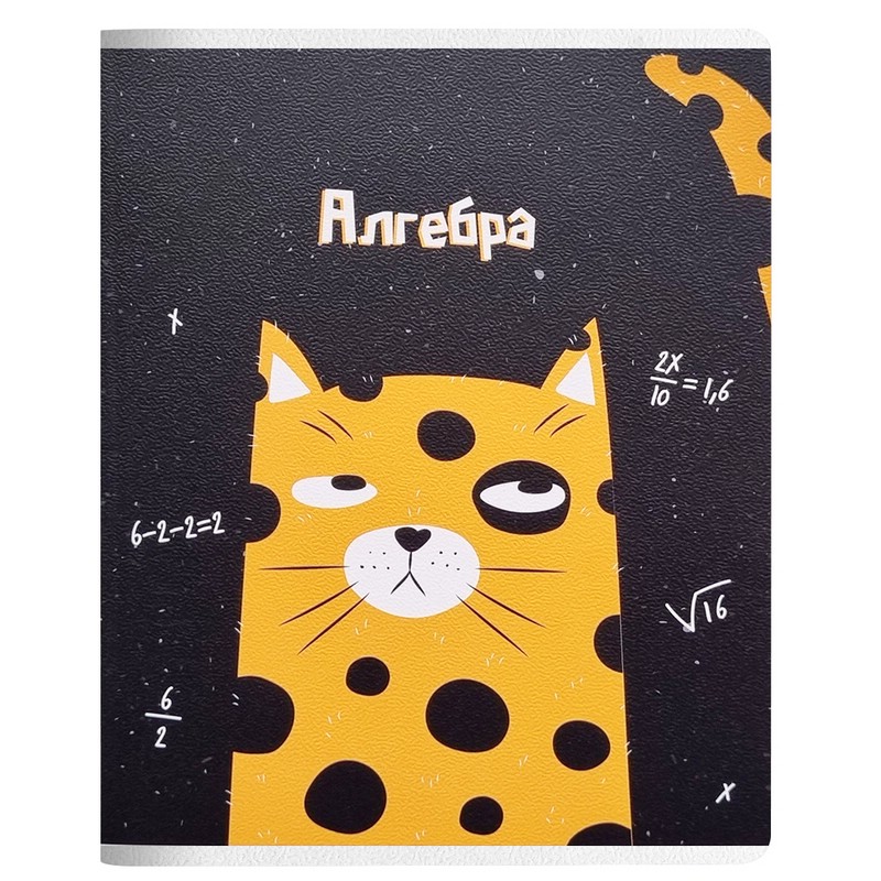 Тетрадь по алгебре Be Smart. Silly, А5, 48 л, клетка, скрепка