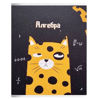 Тетрадь по алгебре Be Smart. Silly, А5, 48 л, клетка, скрепка 1