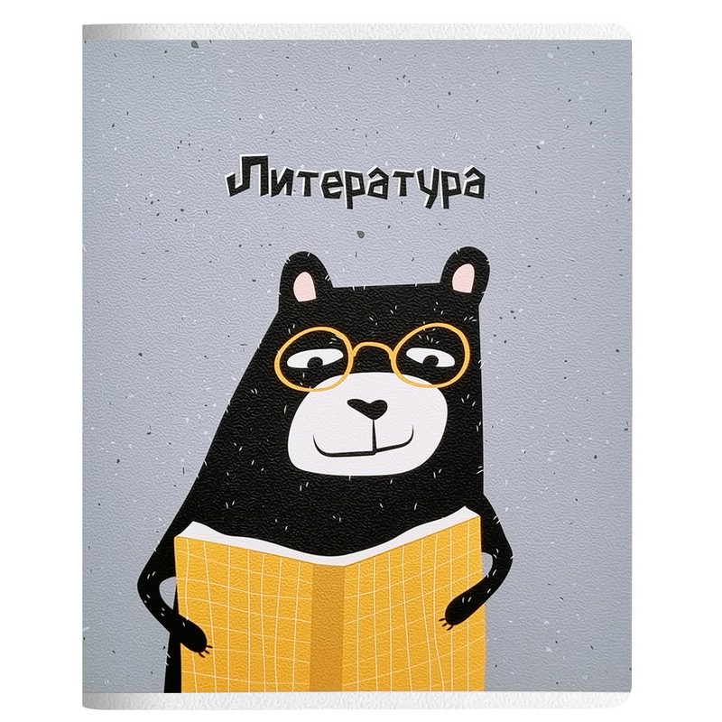 Тетрадь по литературе Be Smart. Silly, А5, 48 л, линейка, скрепка