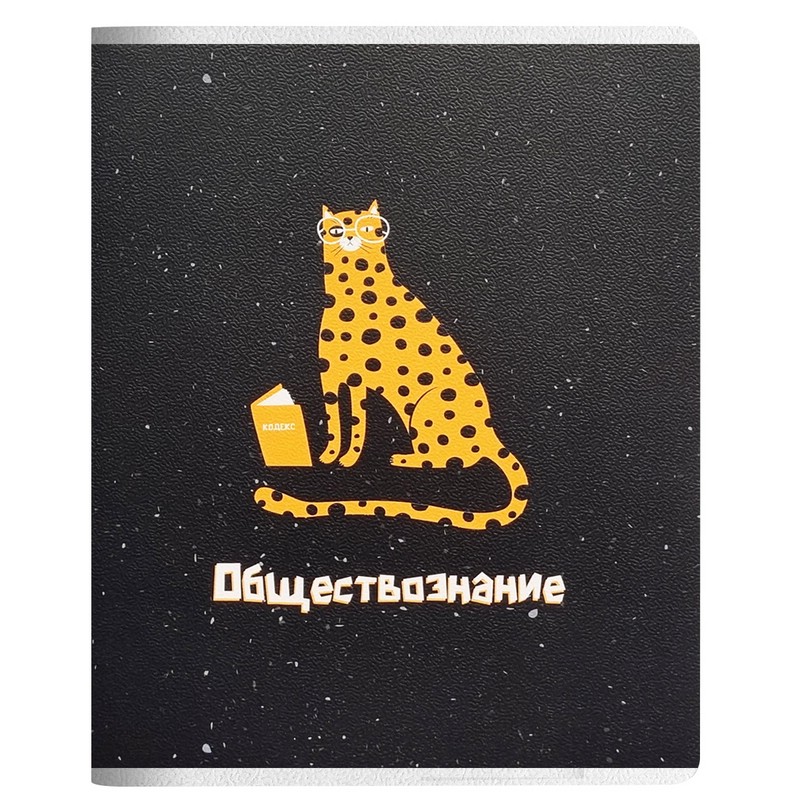 Тетрадь по обществознанию Be Smart. Silly, А5, 48 л, клетка, скрепка
