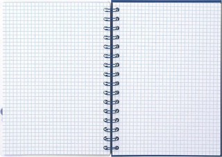 Тетрадь А6 'Черника' 100 листов, на пружине, Herlitz 2