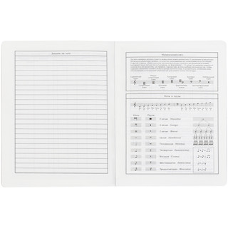 Дневник для музыкальной школы 48л 'Pink note', иск. кожа, ЛАЙТ BG 6