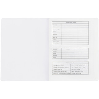 Дневник для музыкальной школы 48л 'Pink note', иск. кожа, ЛАЙТ BG 8