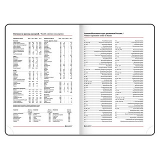 Ежедневник на 2023г А5, 138x213 мм, Brauberg.Control, под кожу, красный 10