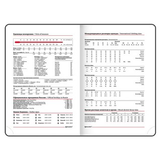 Ежедневник на 2023г А5, 138x213 мм, Brauberg.Control, под кожу, красный 9