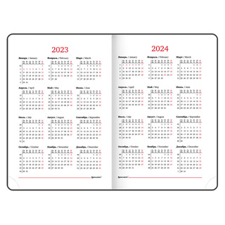 Ежедневник на 2023г А5, 138x213 мм, Brauberg.Legend, под кожу, серый 7