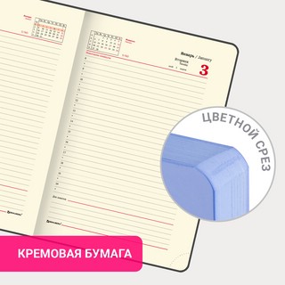 Ежедневник на 2023г А5, 138x213 мм, Brauberg.Pastel, под кожу, глубой 16