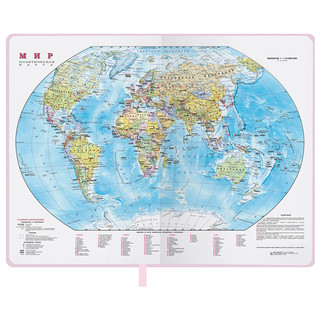 Ежедневник на 2023г А5, 138x213 мм, Brauberg.Profile, балакрон, светло-розовый 12