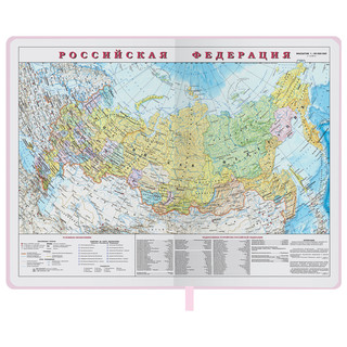 Ежедневник на 2023г А5, 138x213 мм, Brauberg.Profile, балакрон, светло-розовый 4