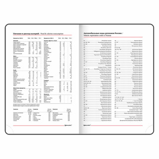 Ежедневник на 2023г А5, 138x213 мм, Brauberg.Rainbow, под кожу, зеленый 10