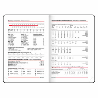 Ежедневник на 2023г А5, 138x213 мм, Brauberg.Rainbow, под кожу, зеленый 12