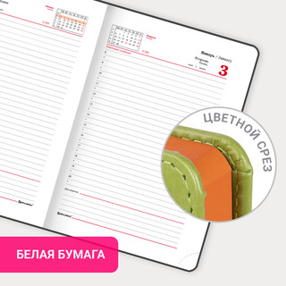 Ежедневник на 2023г А5, 138x213 мм, Brauberg.Rainbow, под кожу, зеленый 16