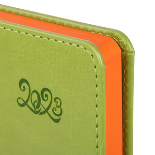 Ежедневник на 2023г А5, 138x213 мм, Brauberg.Rainbow, под кожу, зеленый 4