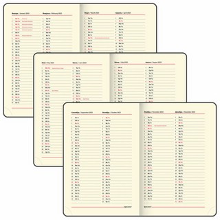 Ежедневник на 2023г А5, 138x213 мм, Brauberg.Stylish, под кожу, желтый 7