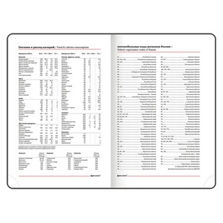 Ежедневник на 2023г А5, 138x213 мм, Brauberg.Vista, под кожу 
