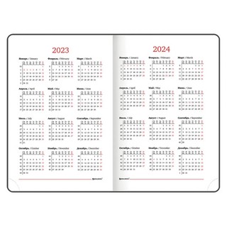 Ежедневник на 2023г А5, 138x213 мм, Brauberg.Vista, под кожу 