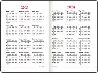 Ежедневник на 2023г А5, 138x213 мм, Brauberg.Vista, под кожу 