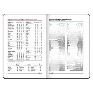 Ежедневник на 2023 Brauberg Vista, А5 138x213мм, под кожу, Cuties 10