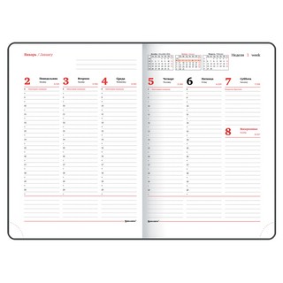 Ежедневник на 2023г А4, 210х297 мм, Brauberg.Favorite, синий 10