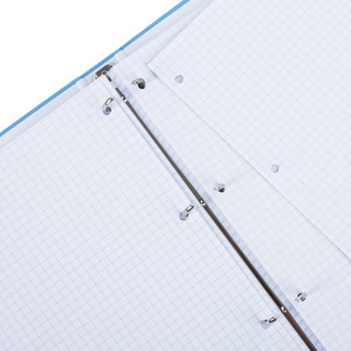 Тетрадь на кольцах  А4, 225х300 мм, 100 л, клетка, Brauberg 'Градиент' 4