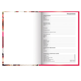 Ежедневник учителя 