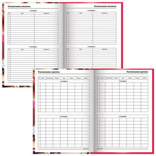 Ежедневник учителя 