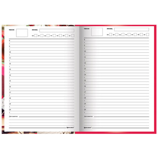 Ежедневник учителя 