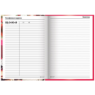 Ежедневник учителя 