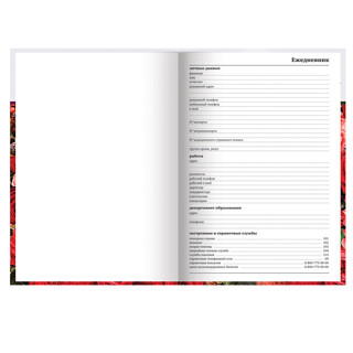 Ежедневник учителя 