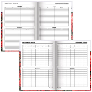 Ежедневник учителя 