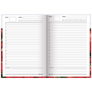 Ежедневник учителя 