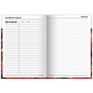 Ежедневник учителя 