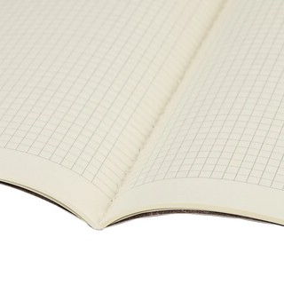 Тетрадь В5, 60 л, клетка, обложка 'Ван Гог' SoftTouch, сшивка, BRAUBERG 5