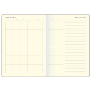 Ежедневник недатированный 