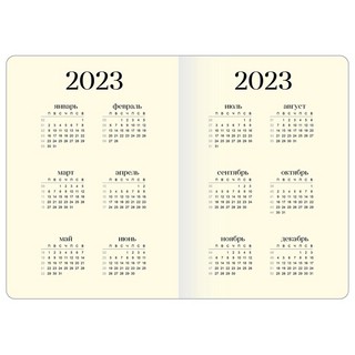 Ежедневник на 2023г 'Mood' А5, 14х20 см, с резинкой, Be Smart 2