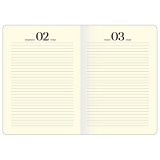 Ежедневник на 2023г 'Mood' А5, 14х20 см, с резинкой, Be Smart 4