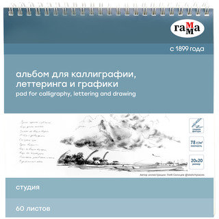 Альбом для каллиграфии 'Студия' 60 л, 20х20 см, на спирали, Г...