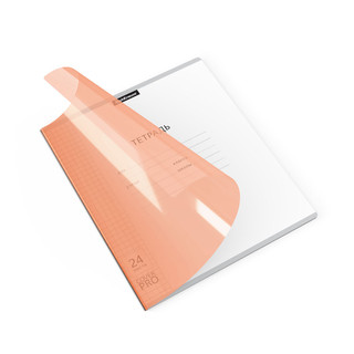 Тетрадь 24 л, А5+, клетка, пластиковая обложка на скобе, ErichKrause Классика CoverPrо Neon, оранжевый